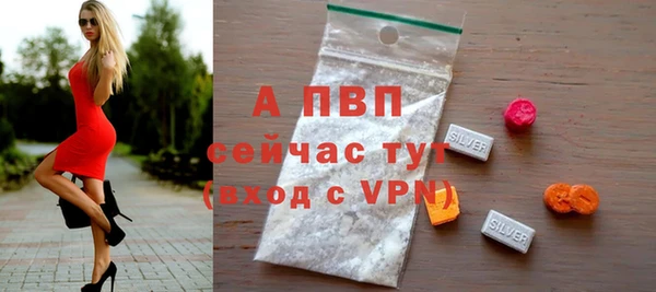 спиды Новокубанск