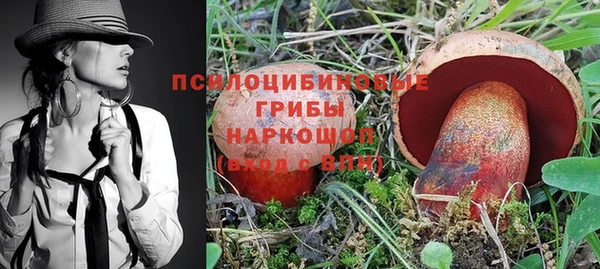 стафф Новодвинск