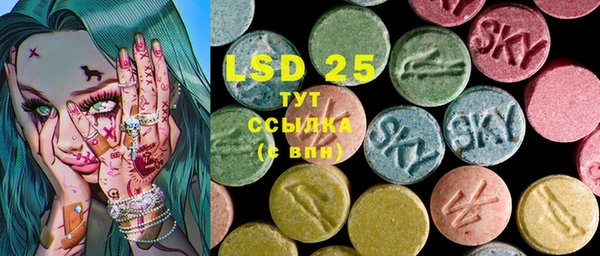 стафф Новодвинск
