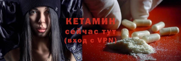 стафф Новодвинск