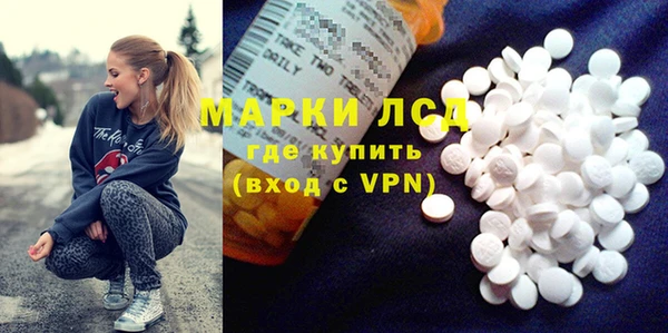стафф Новодвинск