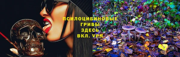 круглые Новозыбков