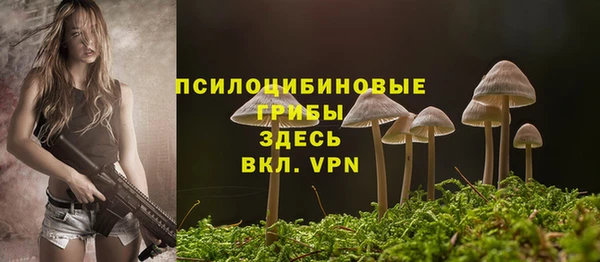 круглые Новозыбков