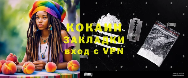стафф Новодвинск