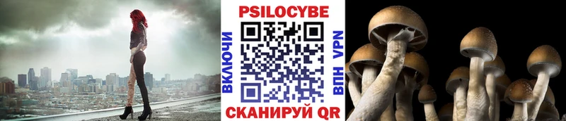 Псилоцибиновые грибы мухоморы  кракен вход  Урюпинск  даркнет сайт 