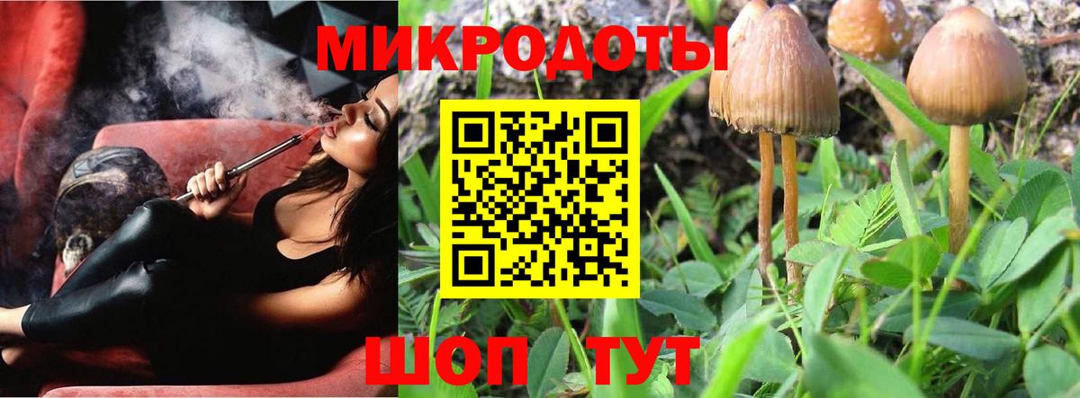 Галлюциногенные грибы MAGIC MUSHROOMS  Урюпинск  Галлюциногенные грибы мицелий 